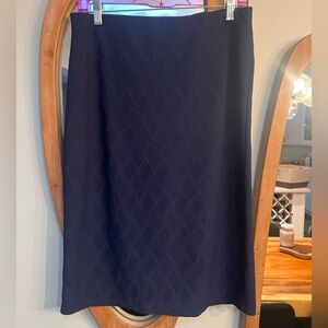 Chic Navy A-Line Skirt